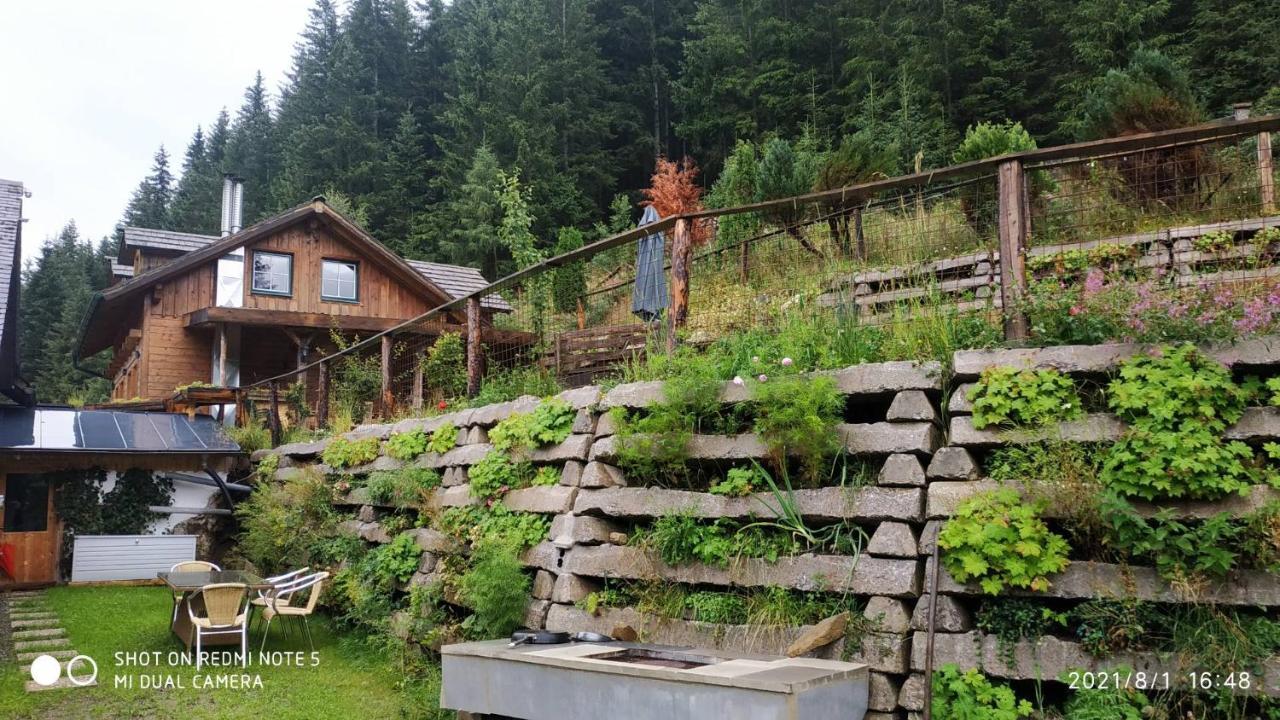 Chalet Steiermark Pusterwald Buitenkant foto
